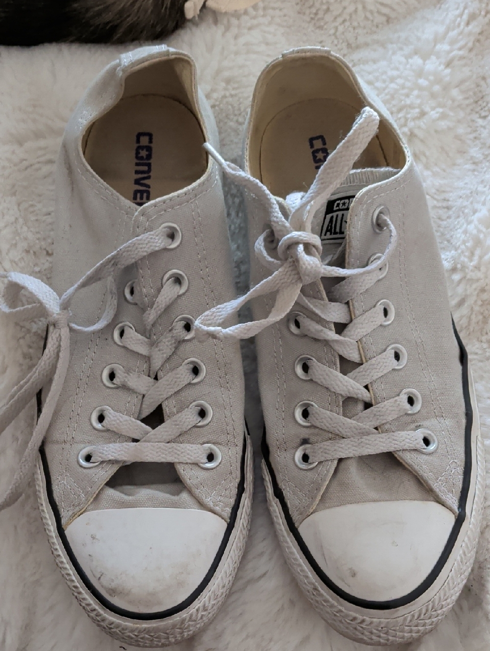 Converse‎ Low Top Sneakers - Light Gray and White